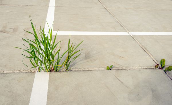 Concrete Parking Installation in Waco