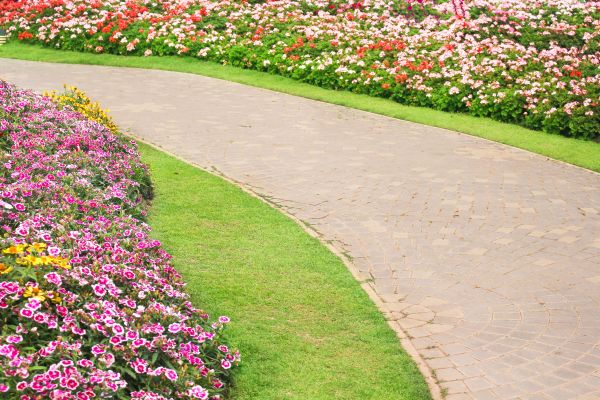 Concrete Walkway Service in Waco