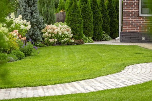 Landscape Walkway Installation in Waco
